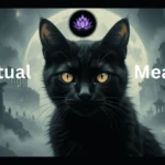 Balck cat spiritual meaning