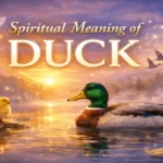 Duck Spiritual Meaning